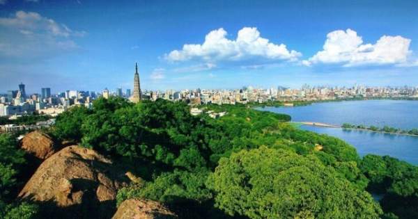 學(xué)習(xí)國外苗木行業(yè)經(jīng)驗(yàn)，搶先了解國內(nèi)市場動(dòng)態(tài)